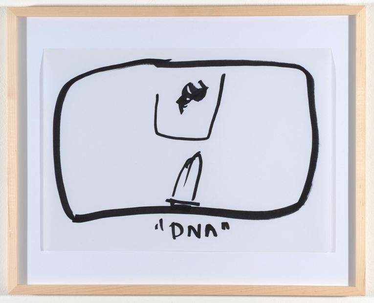 AC-DNA12