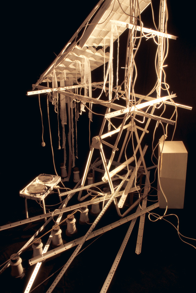 LS010